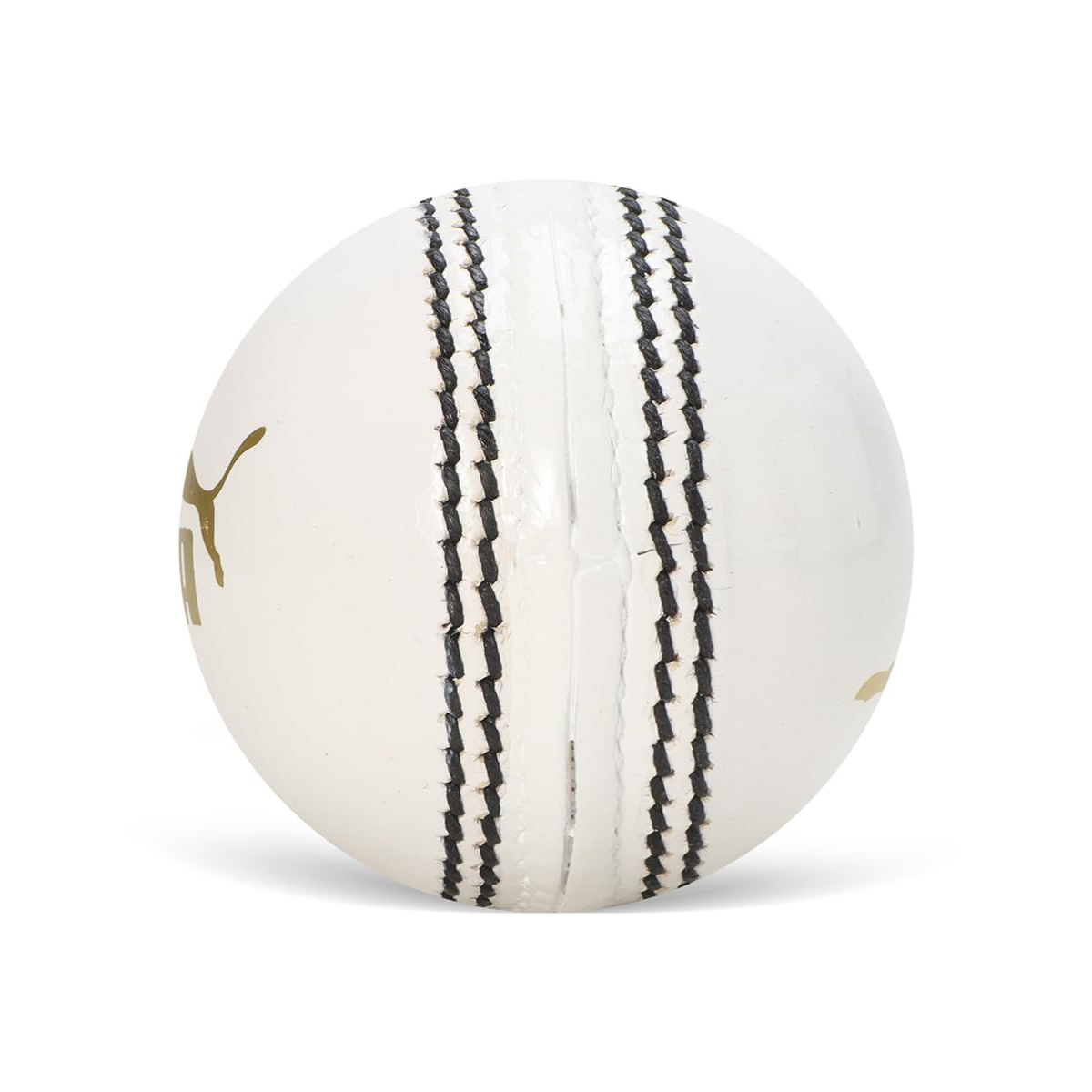 Puma Pithc Pro Pu Cricket Ball