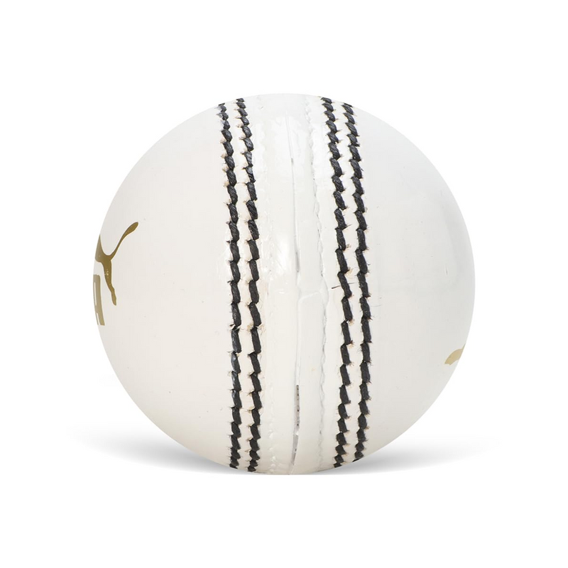 Load image into Gallery viewer, Puma Pithc Pro Pu Cricket Ball
