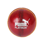 Puma Platinum Cricket Ball