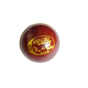 BDM Player Auto Cricket Ball