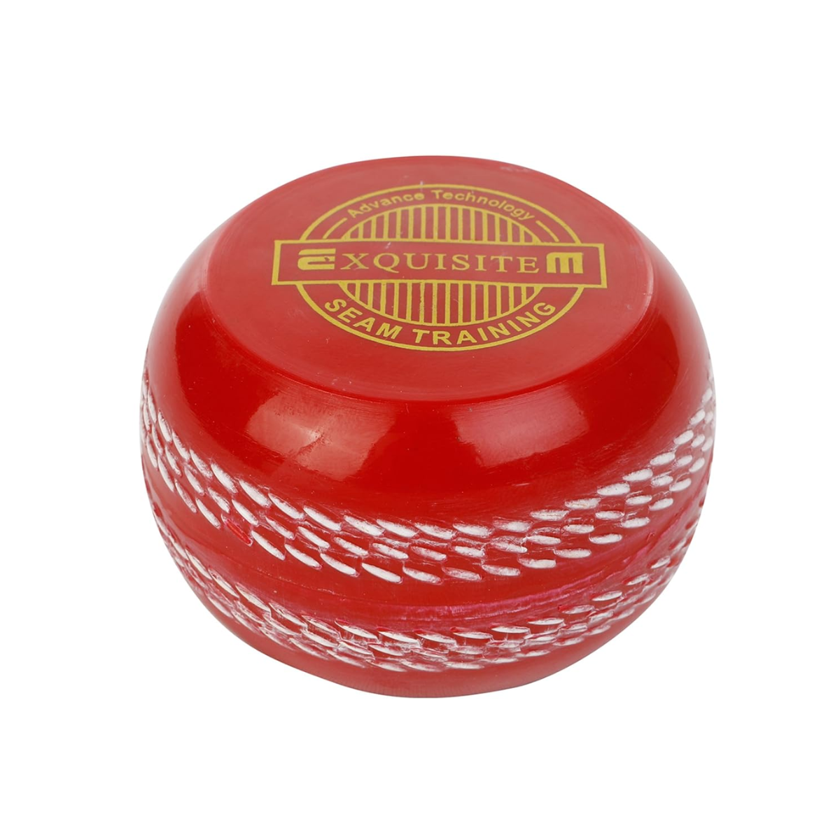 EM Seam Training Cricket Ball