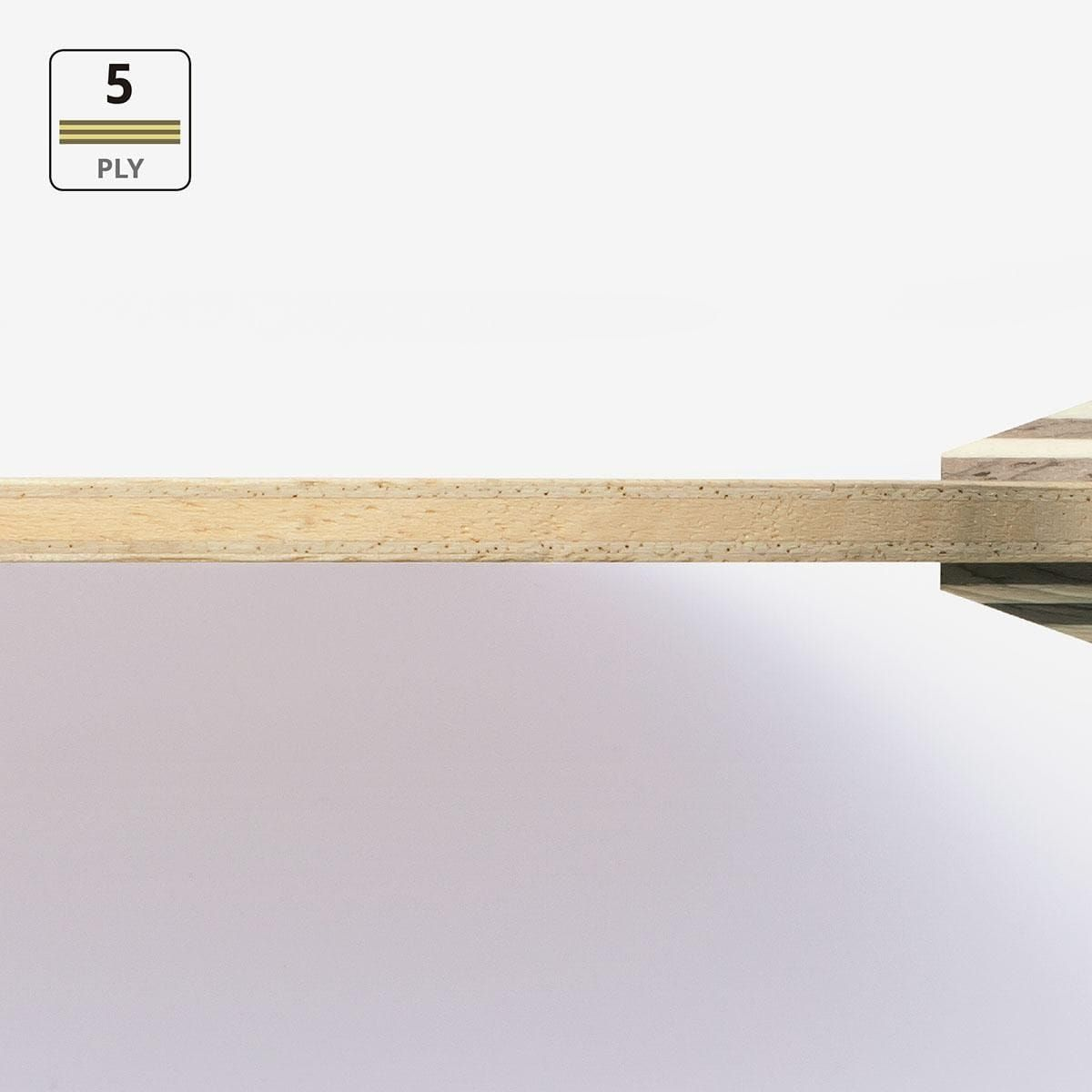 Butterfly Petr Korbel Table Tennis Ply