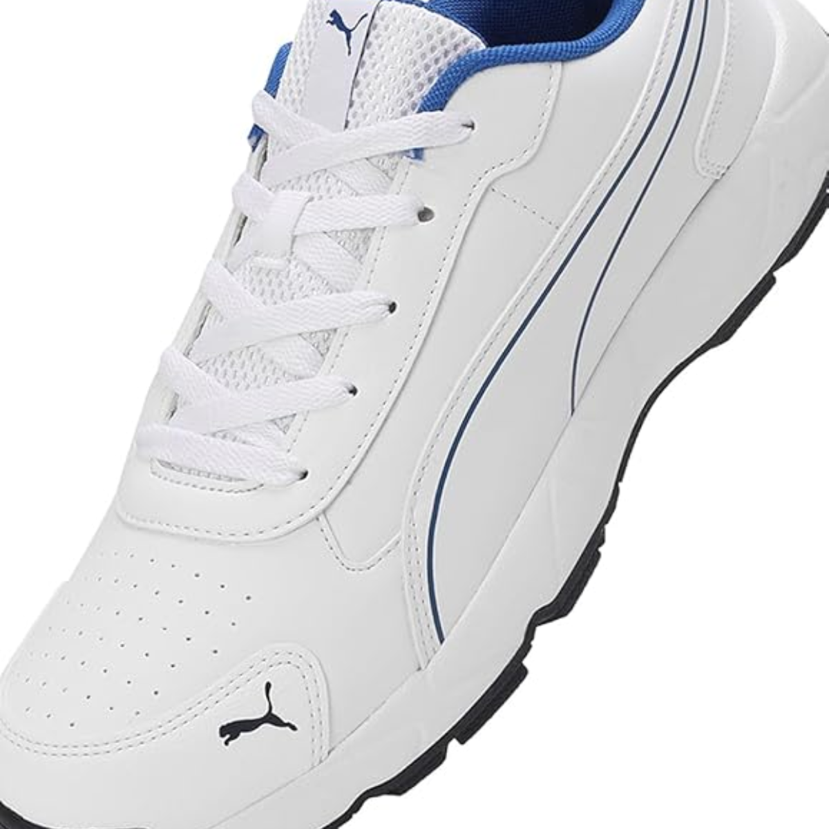 Puma Classicat Cricket Shoes