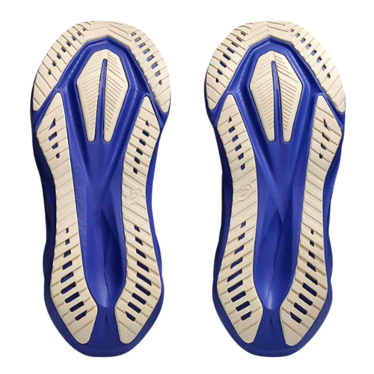 Asics Novablast 5 Running Shoes