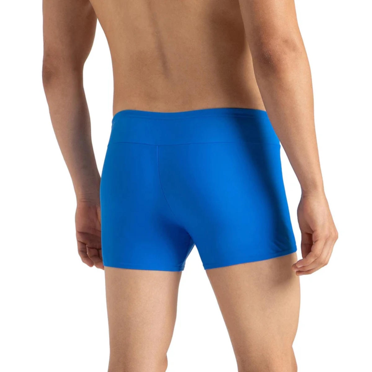 Speedo Am Ess Houston Aquashort Swimming Costume(Male)