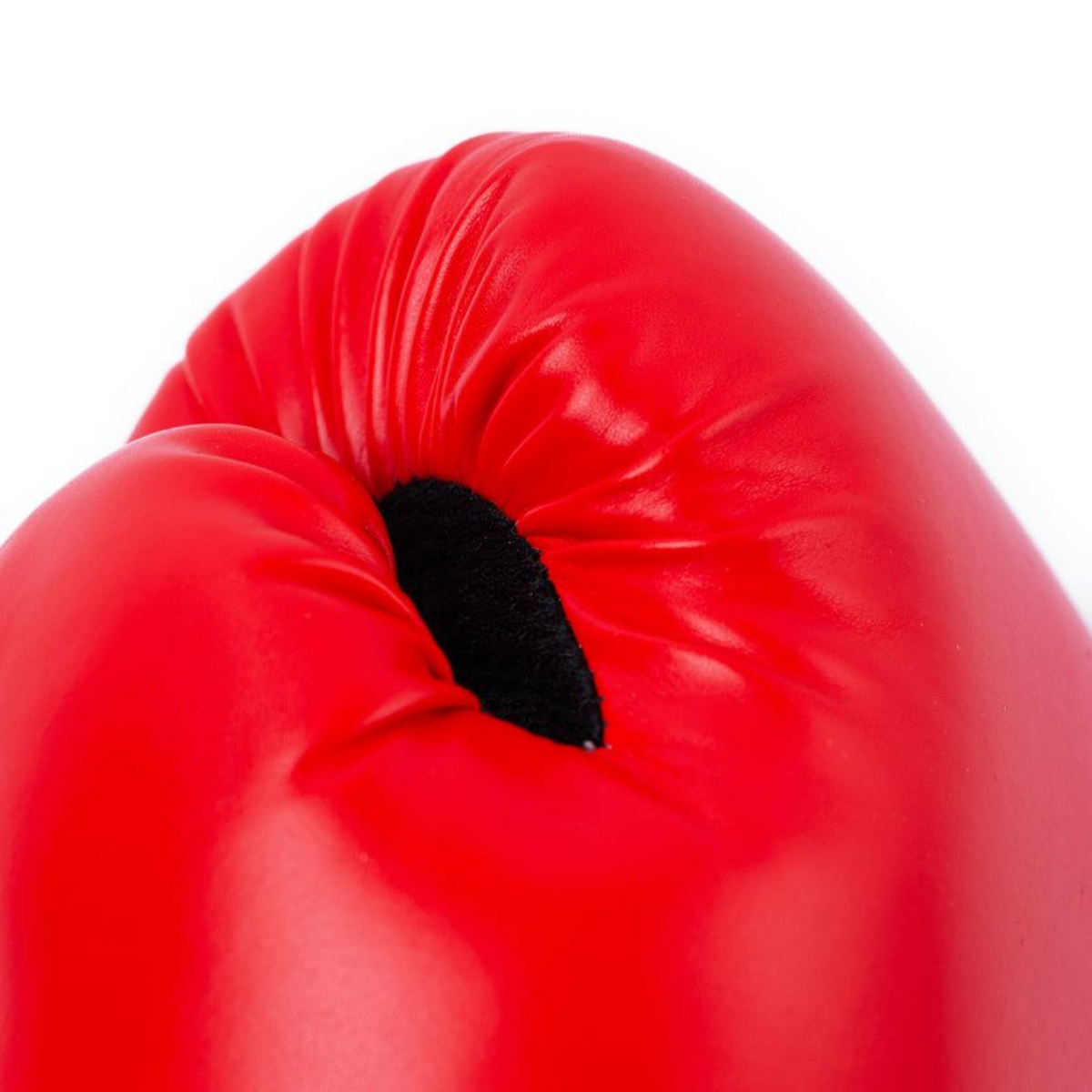 Everlast Elite Pro Style V2 Boxing Gloves