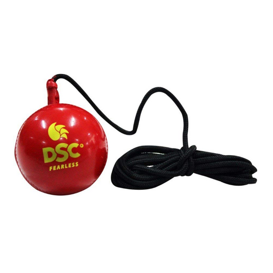 DSC Synthetic Hanging Ball Cricket Accessories