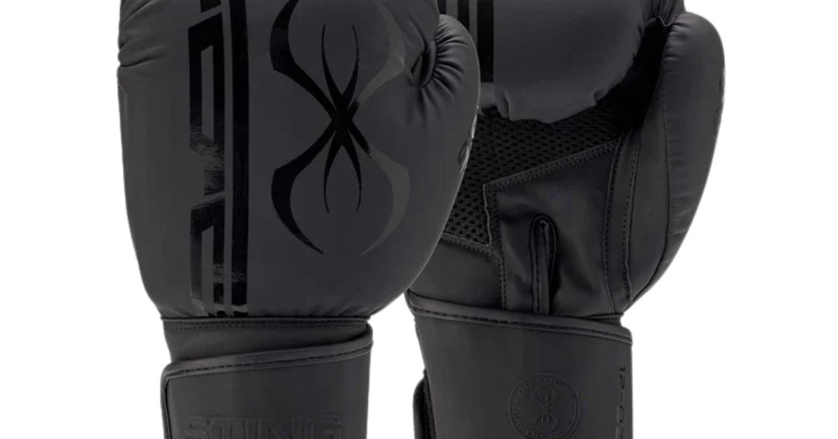 Buy Sting Armaplus Boxing Gloves Online SCS Sports