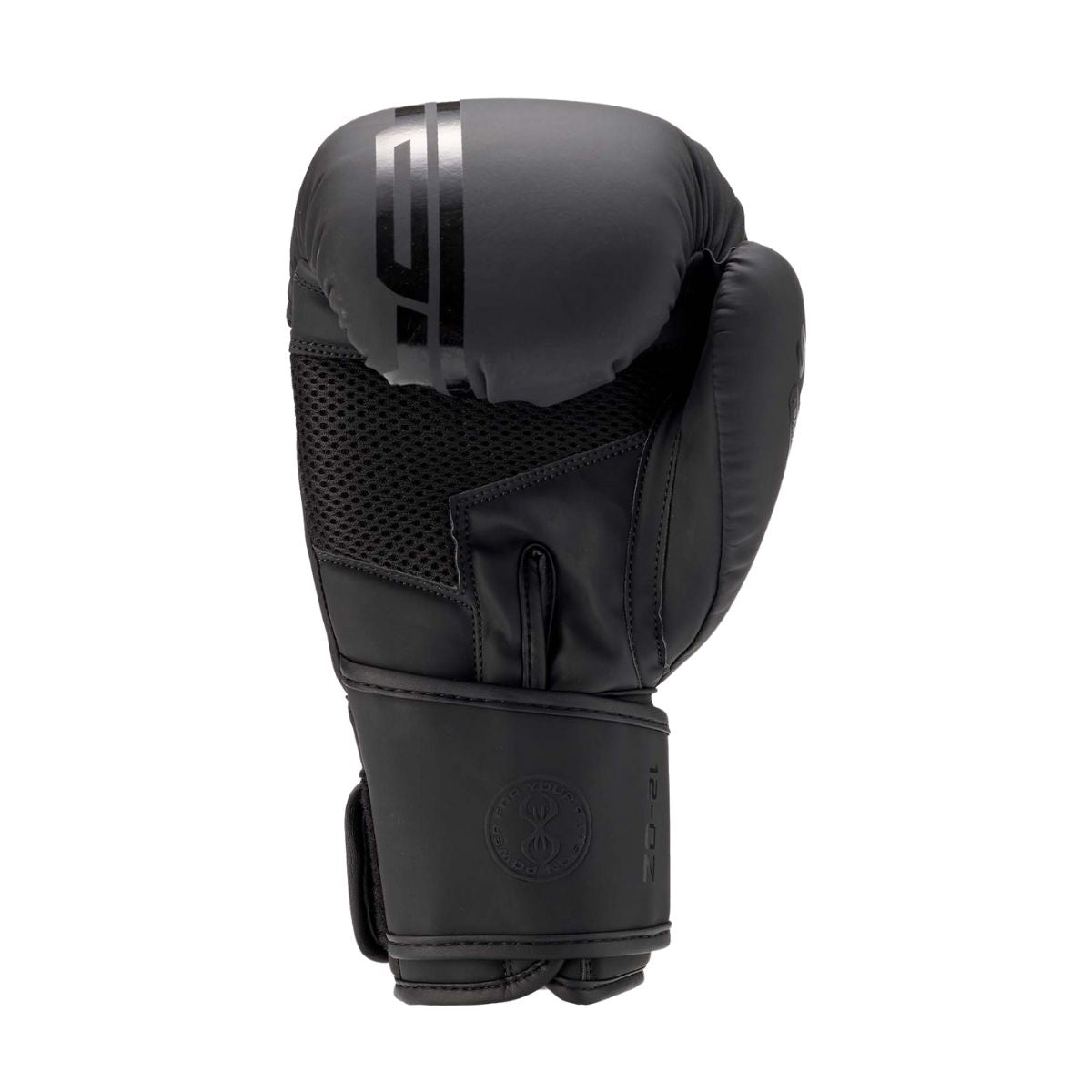 Sting Armaplus Boxing Gloves