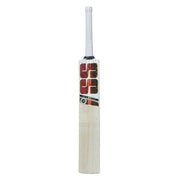 SS Master Kashmir Willow Cricket Bat