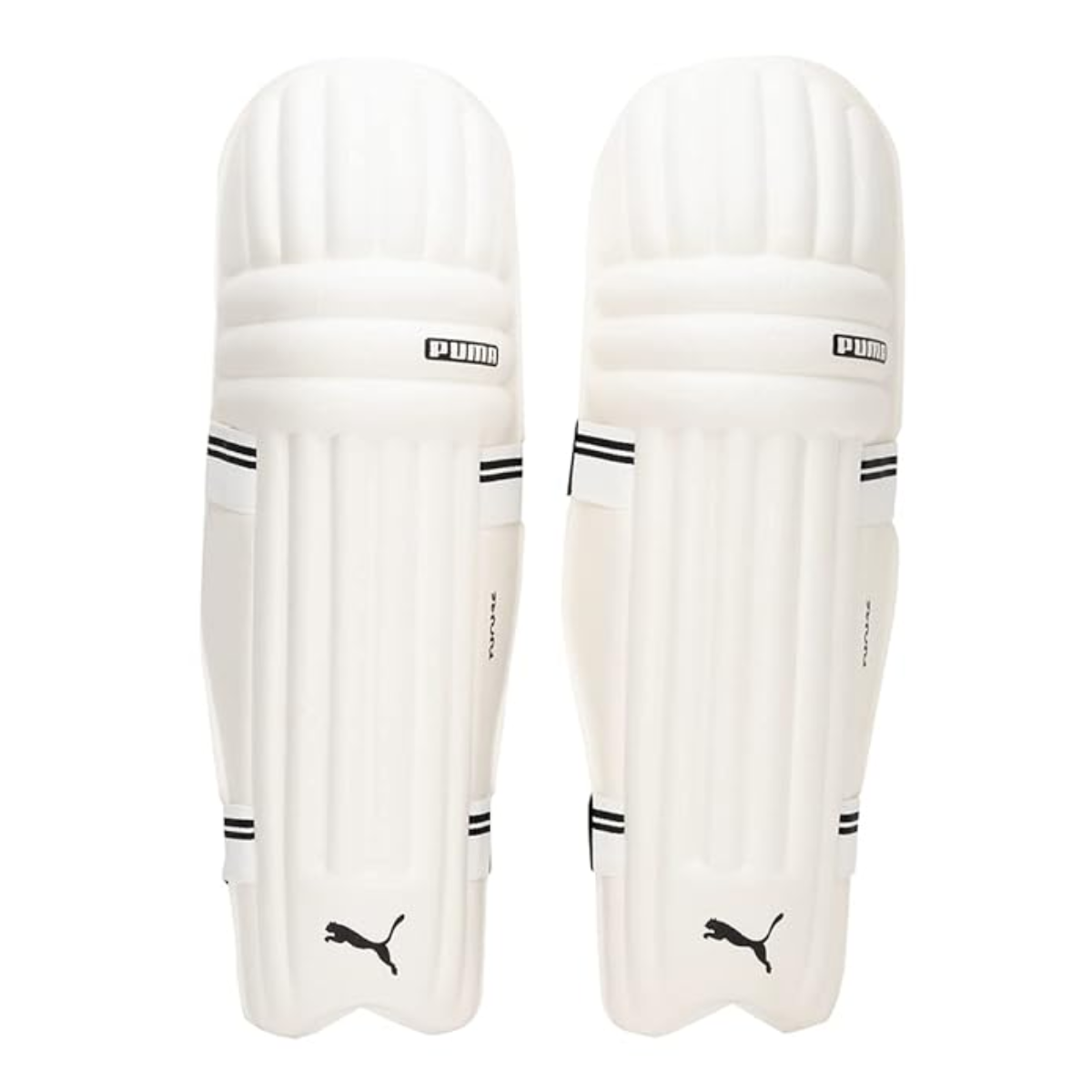 Puma Future 20.6 Md Cricket Batting Pads