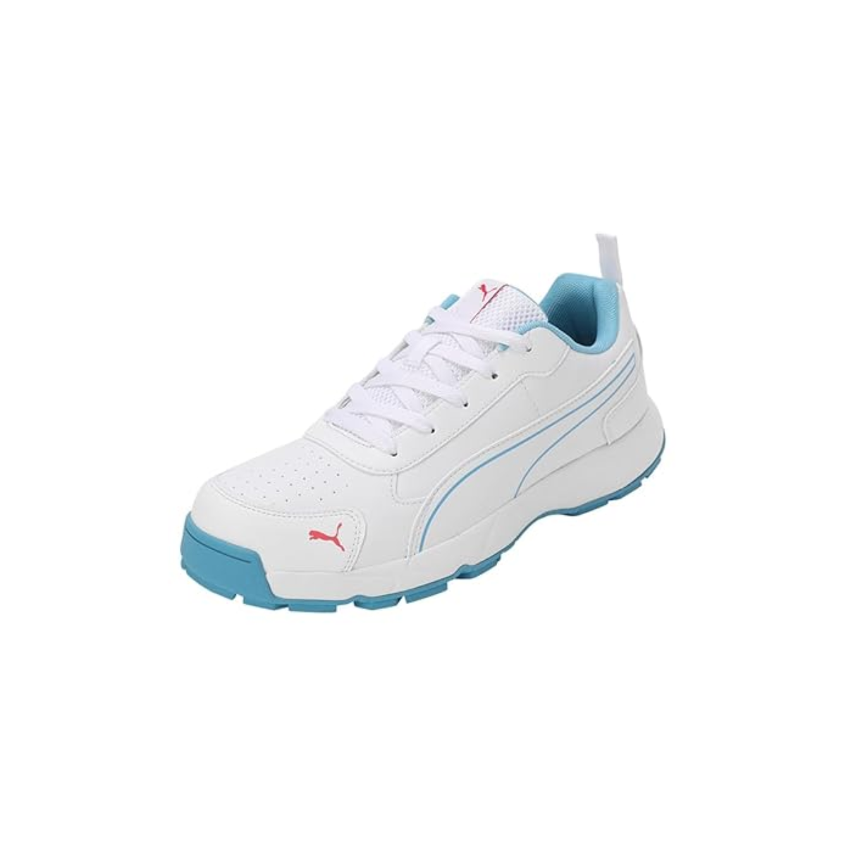 Puma Classicat Cricket Shoes