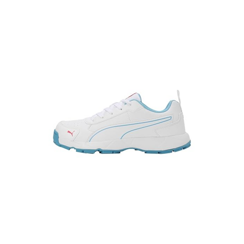 Load image into Gallery viewer, Puma Classicat Cricket Shoes
