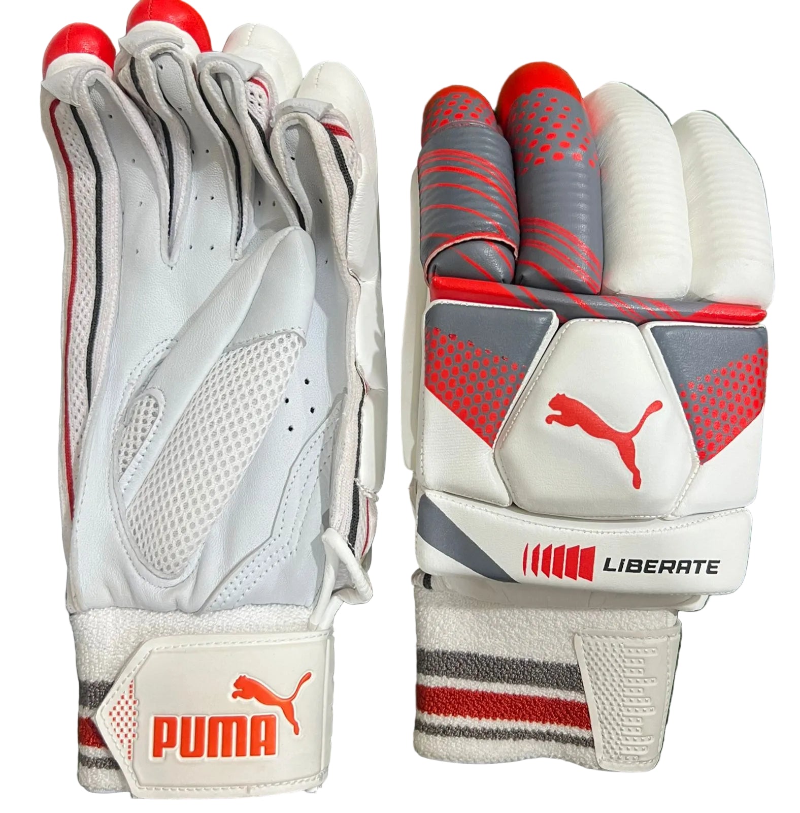 Crickets equipment including gloves with Puma branding on a White background