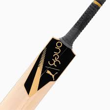 Puma One8 X-Edge Kashmir Willow Cricket Bat