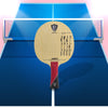 Xiom Stradivarius Table Tennis PLY