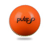 Puls8 Incredible Cricket Ball