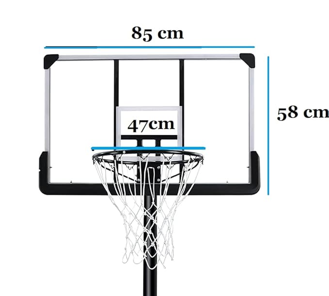 Vector-X Basket Ball Board With Pole