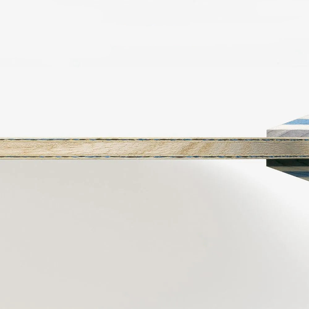 Butterfly Viscaria FL Table Tennis Ply