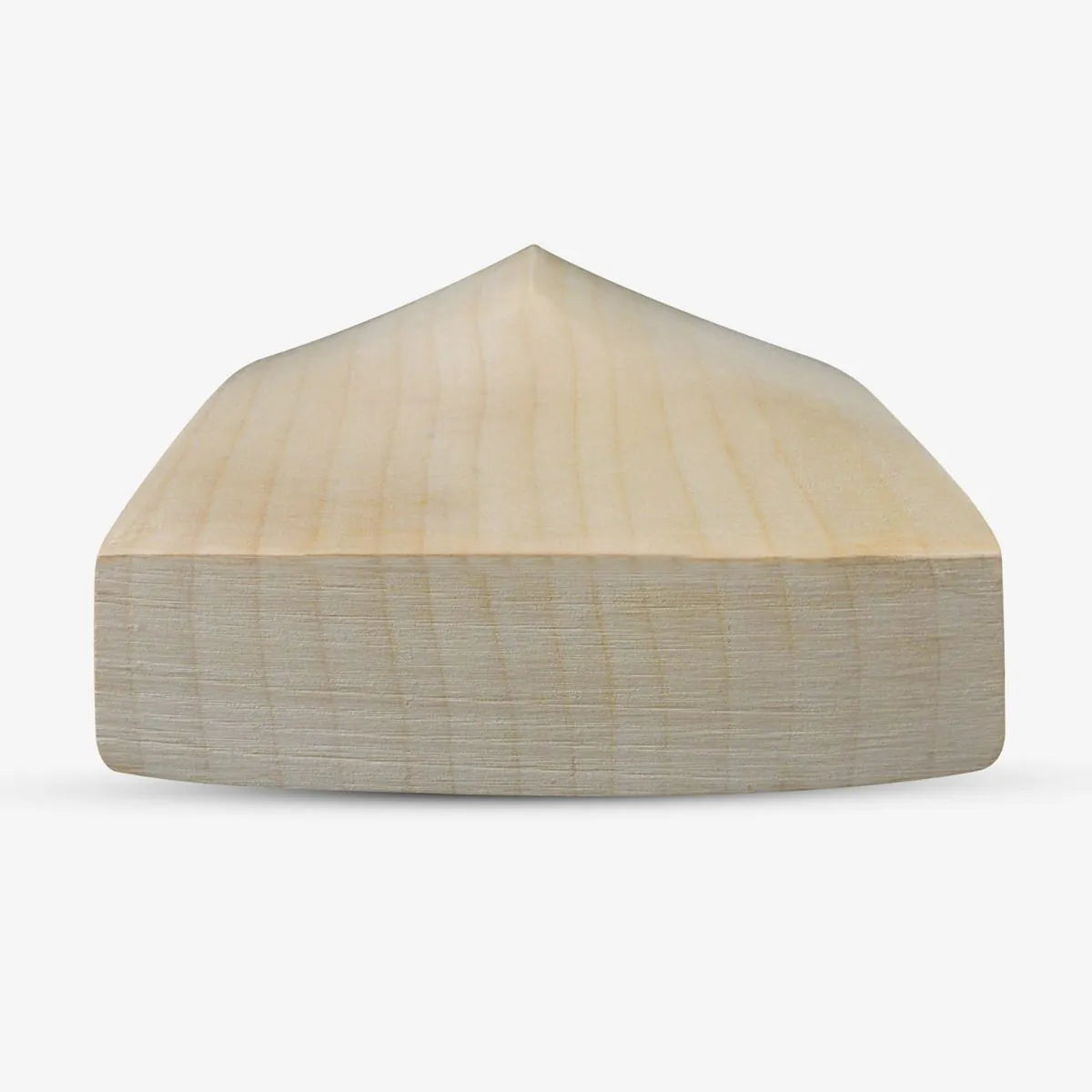 DSC Blak 330 English Willow Cicket Bat