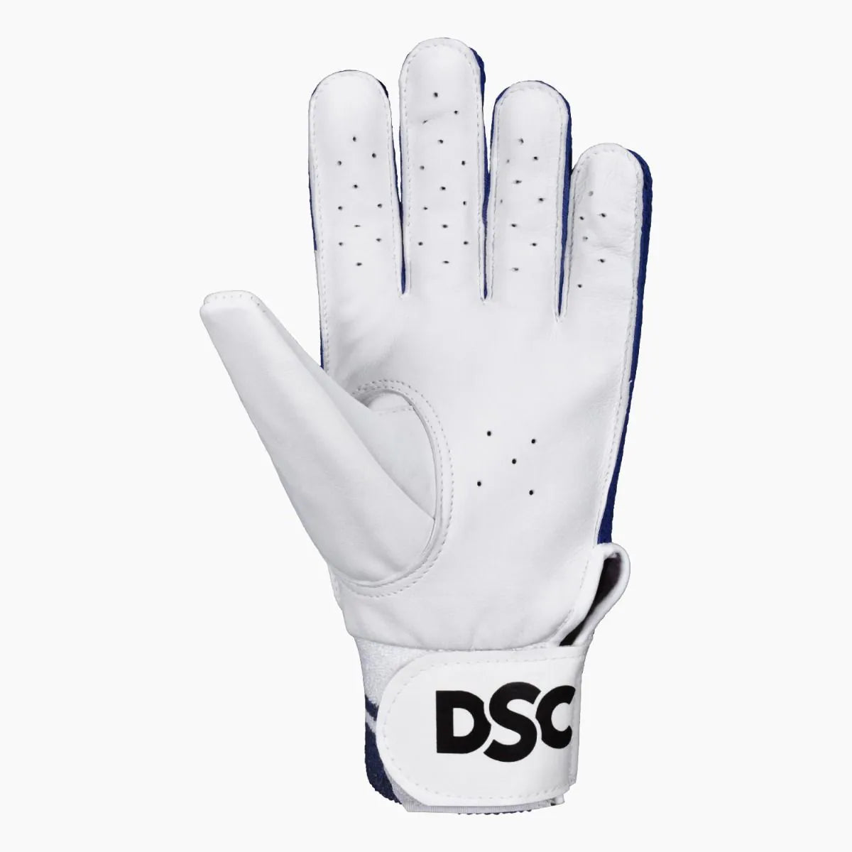 DSC Prism Cricket indoor Batting Gloves