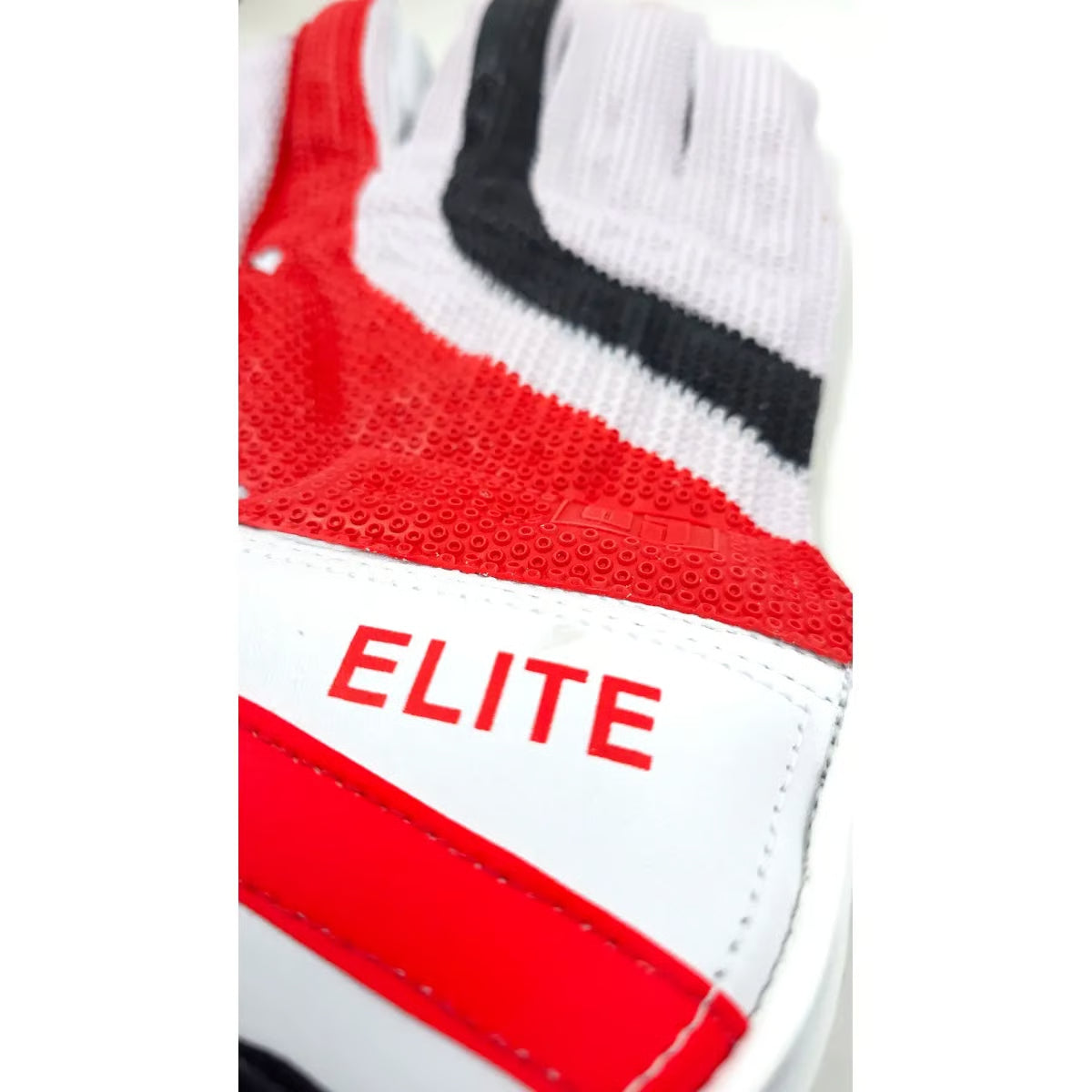 SS Elite Cricket Keeping Gloves