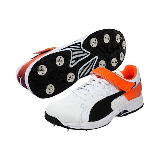 Puma Evospeed 18.1 Cricket Shoes