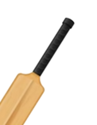Bat Handle Type