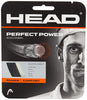 Head Perfect Power 16L Single Squash String (one racket can be strung)