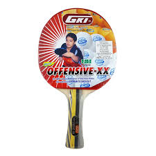 GKI Offensive XX Table Tennis Bat with Cover