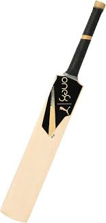 Load image into Gallery viewer, Puma One8 Jr 2.1 Kashmir Willow Cricket Bat
