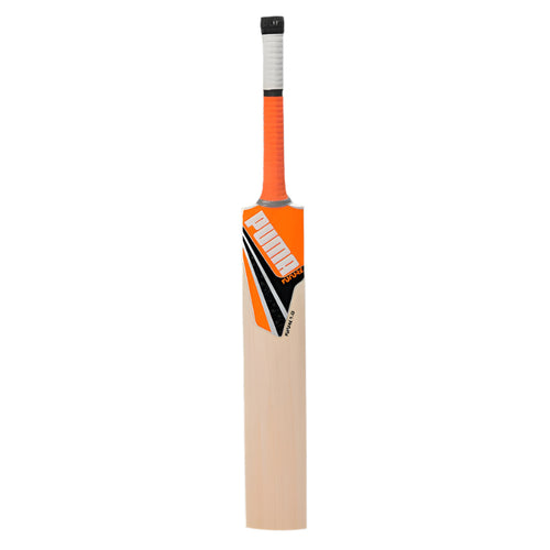 Puma Future 1.0 English/Kashmir Willow Cricket Bat