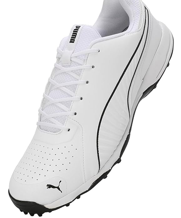 Puma Pitch Pro Cricke Shoes