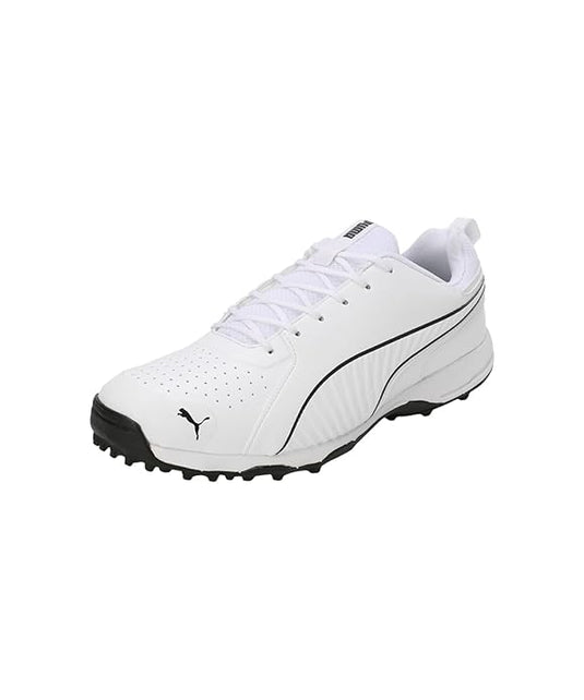 New puma cricket shoes online