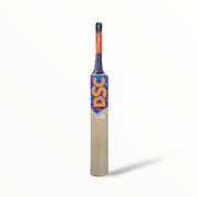 DSC Pentazone Kashmir Willow Cricket Bat