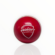 SG Prosoft Cricket Ball