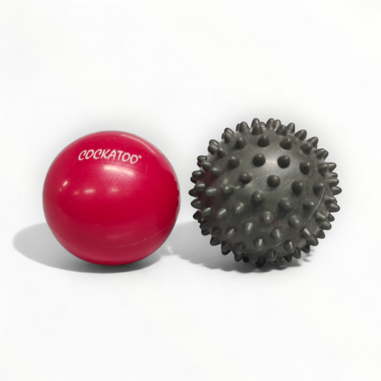 Cockatoo Hot & Cold Massage Ball Set