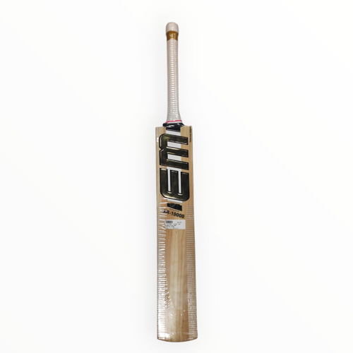 EM GT XR-10000 Smart Willow Cricket Bat