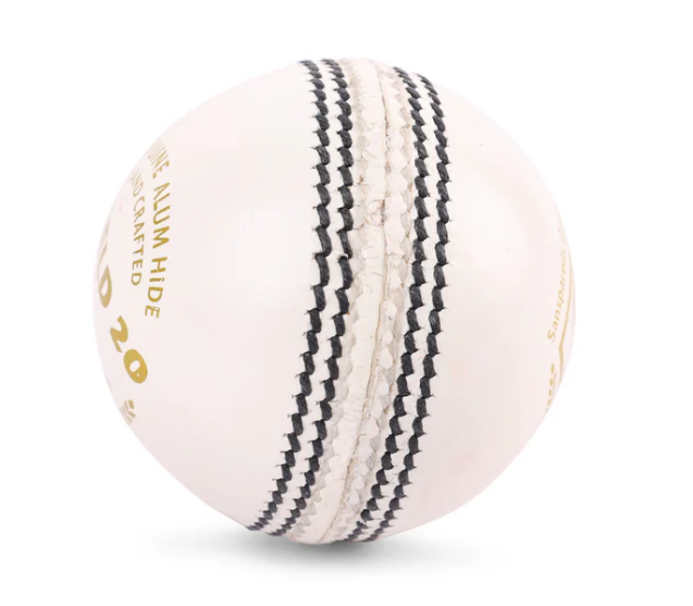 Load image into Gallery viewer, SG Shield 20 Cricket Ball
