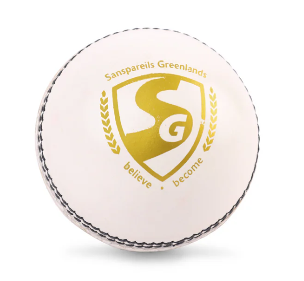 Load image into Gallery viewer, SG Shield 20 Cricket Ball
