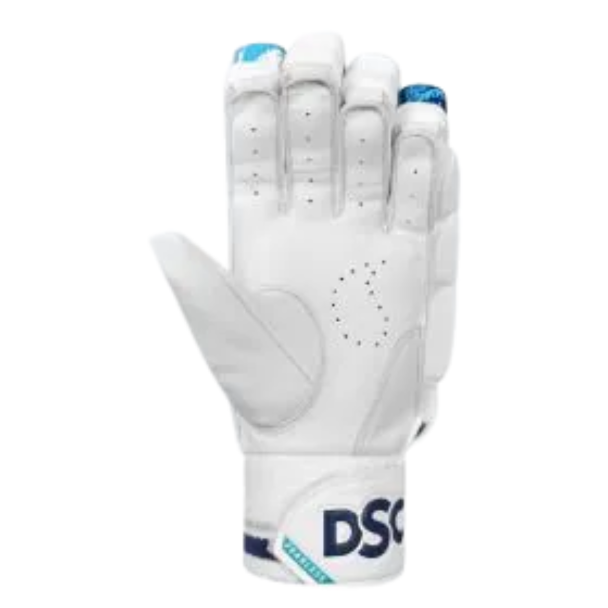 DSC Speed 2024 Cricket Batting Gloves
