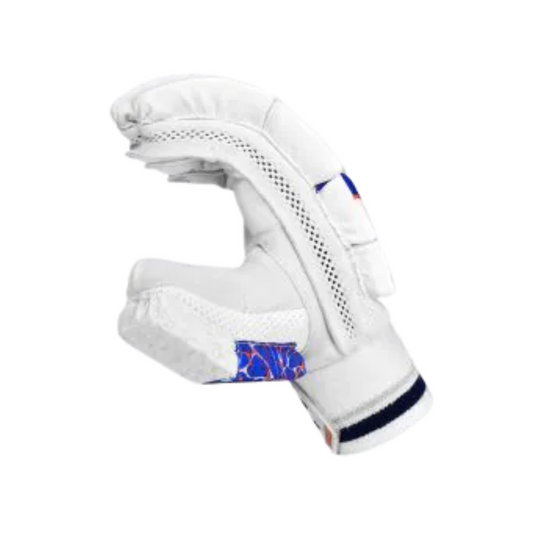 DSC Heat 2024 Cricket Batting Gloves
