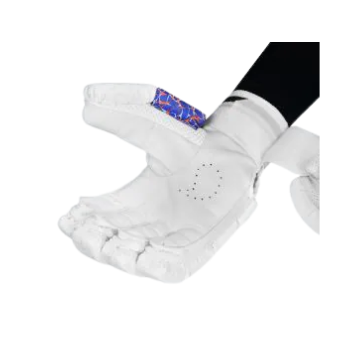 DSC Heat 2024 Cricket Batting Gloves