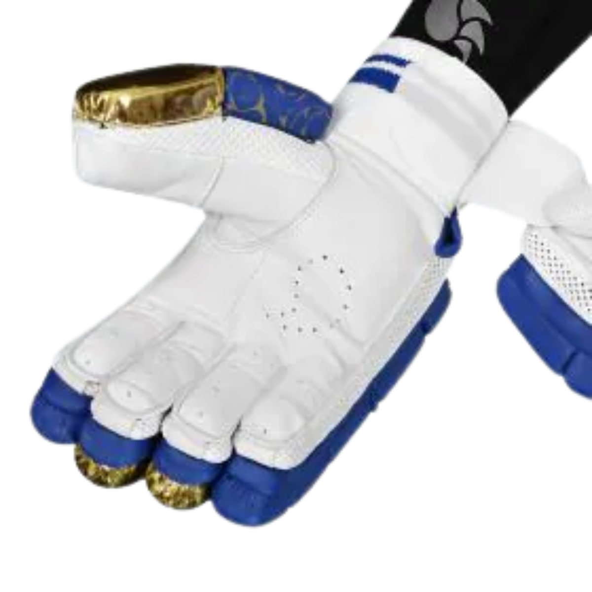 DSC Strike 20/20 Cricket Batting Gloves