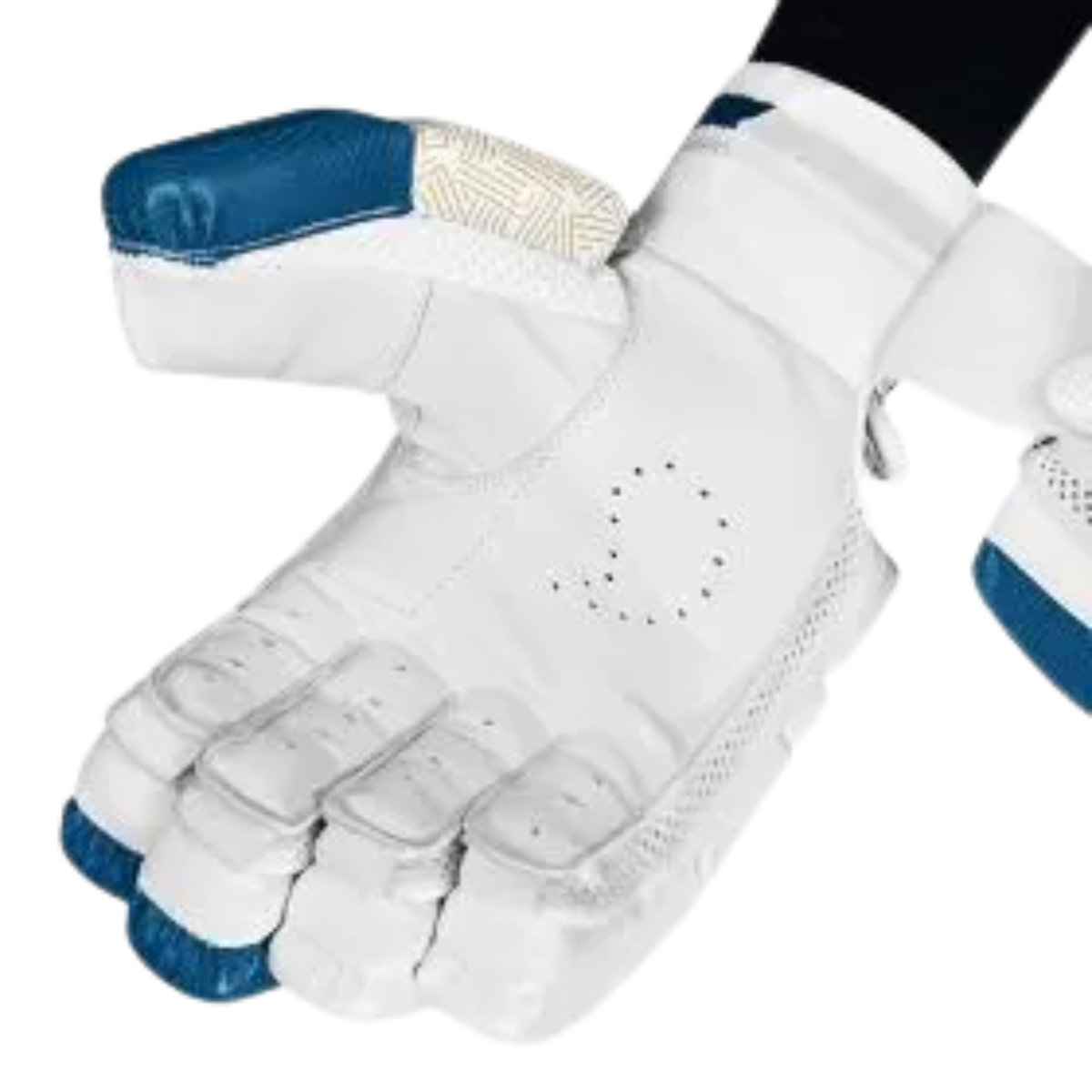 DSC Velocity 2024 Cricket Batting Gloves