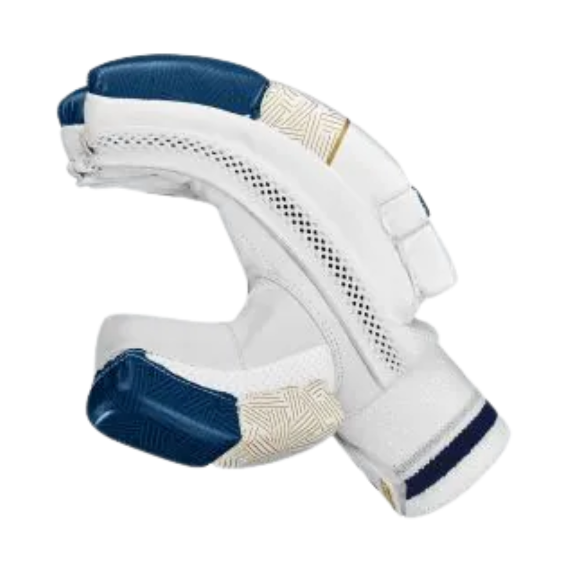 DSC Velocity 2024 Cricket Batting Gloves