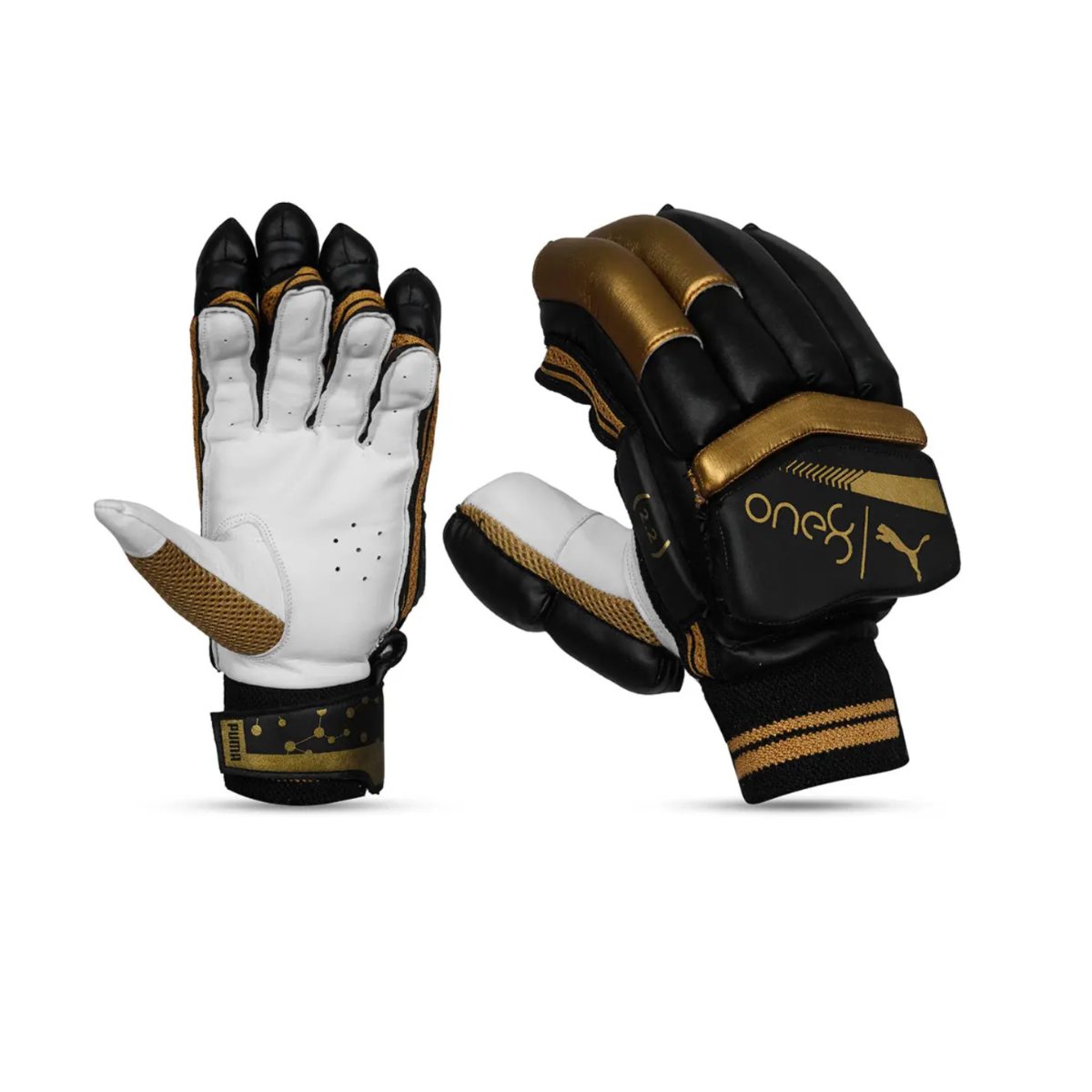 Puma Future one8 2.2 Cricket Batting Gloves