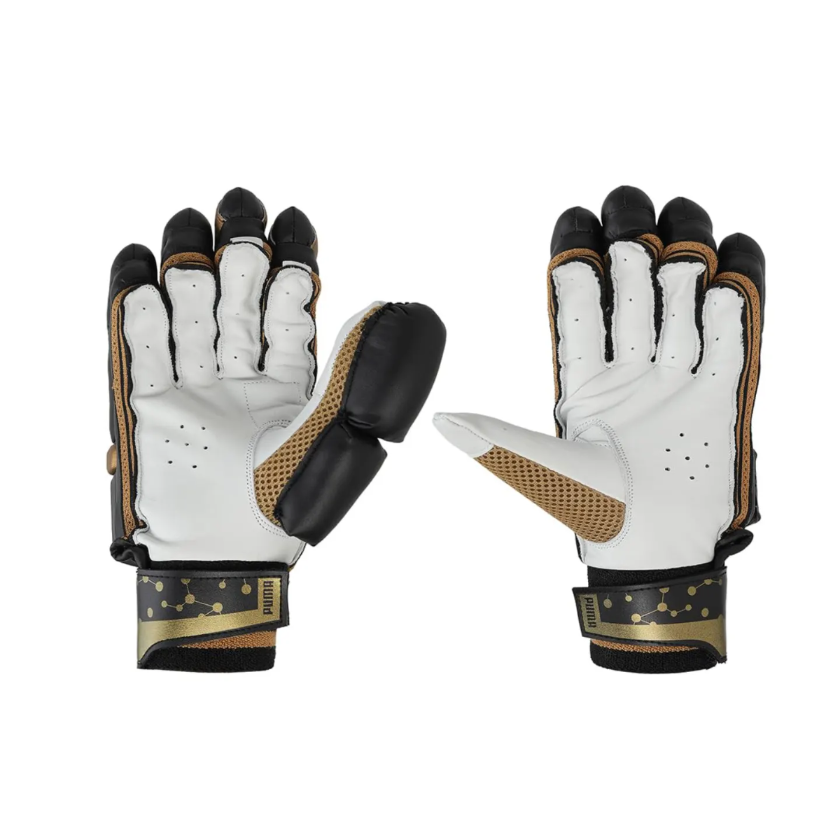 Puma Future one8 2.2 Cricket Batting Gloves