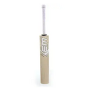 EM GT Player Edition Kashmir Willow Cricket Bat