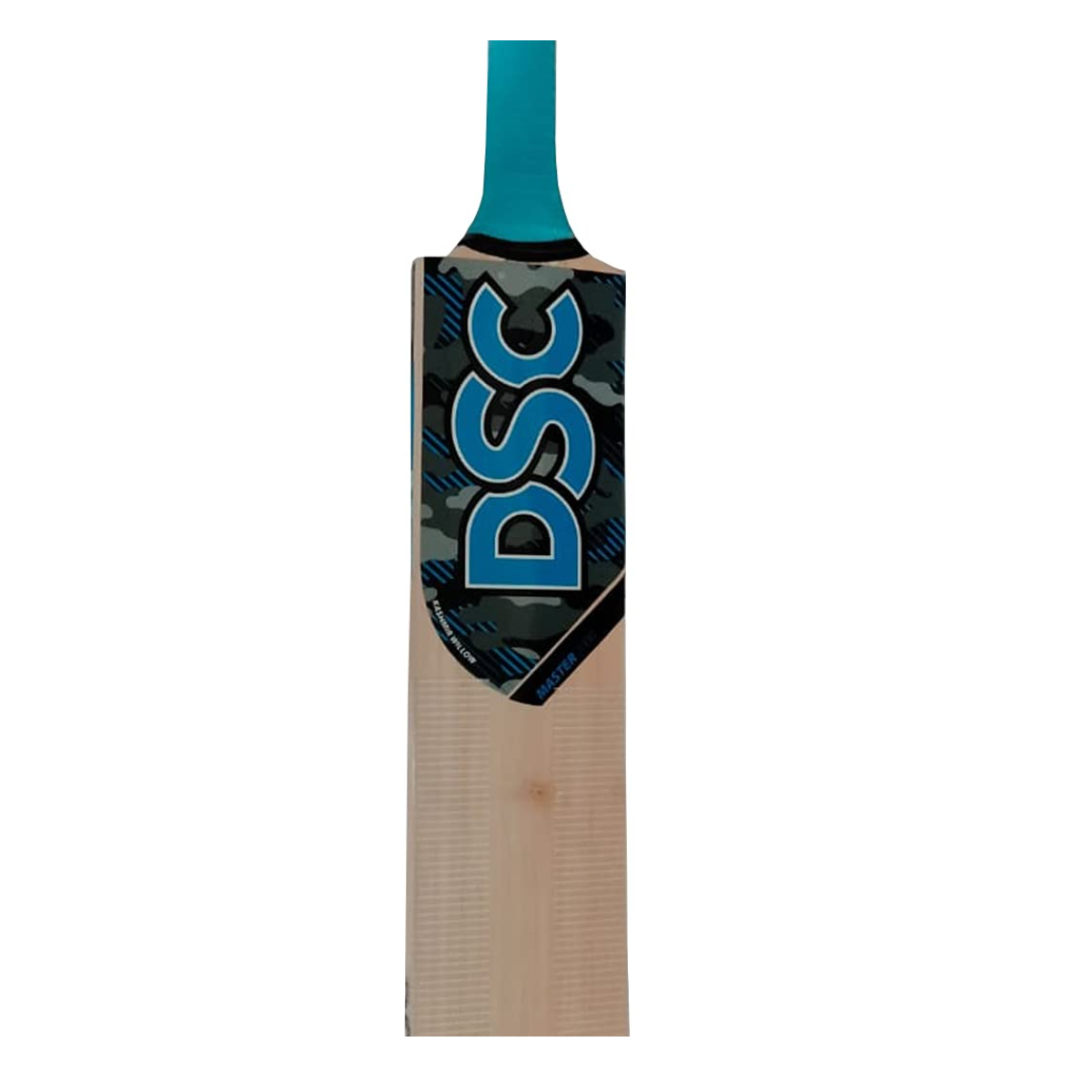 DSC Master 2000 Kashmir Willow Cricket Bat